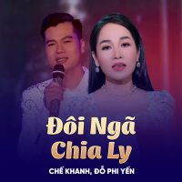 Đôi Ngã Chia Ly (Single)