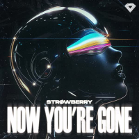 Now You're Gone (Acid Techno) (EP)