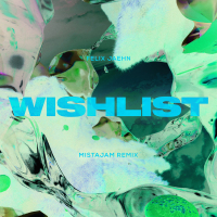 Wishlist (MistaJam Remix) (Single)