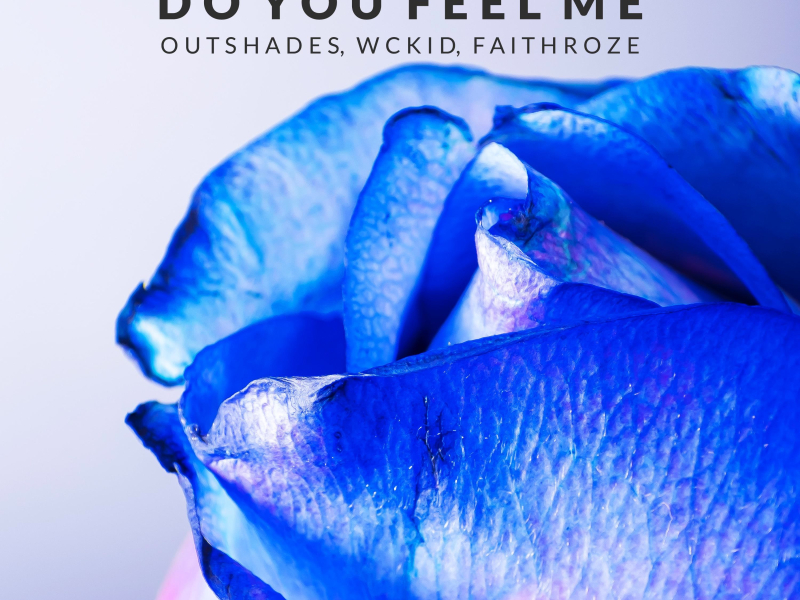 Do You Feel Me (Single)