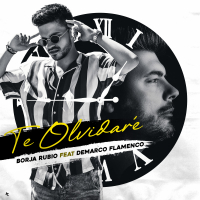 Te Olvidaré (feat. Demarco Flamenco) (Single)