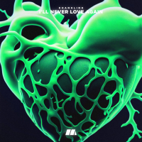 I'll Never Love Again (Single)