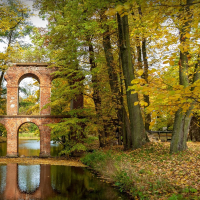 ВОЛШЕБНОЕ СОЛНЦЕ