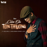 Cảm Ơn Tổn Thương (T-Golden x Melodiez Speed Lofi) (Single)