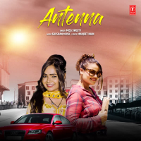 Antenna (Single)