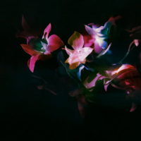 irreplaceable (Single)