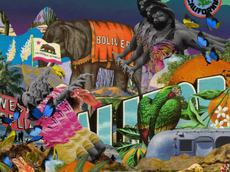 California Butterfly (Single)