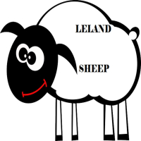 Sheep (Single)