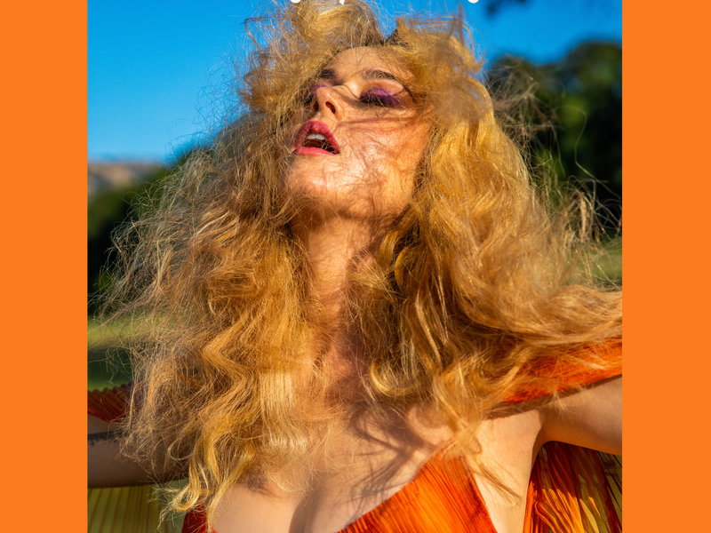 Never Really Over (Single)
