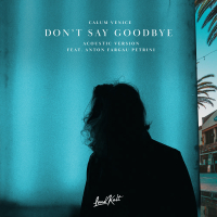 Don't Say Goodbye (Acoustic) (Single)