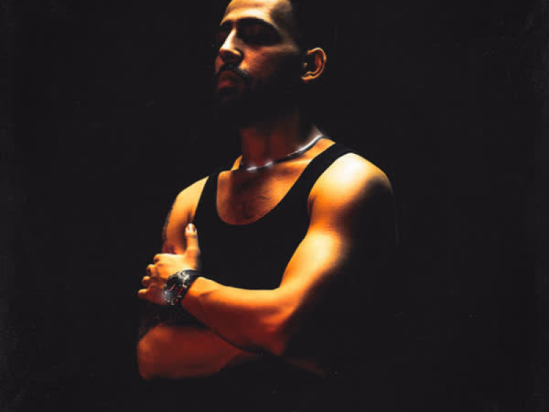 PLAYBOYCARTI (Single)