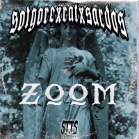 ZOOM (Single)