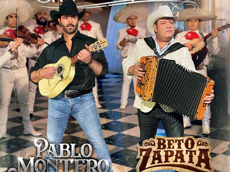 Si No Ibas a Quedarte (Single)