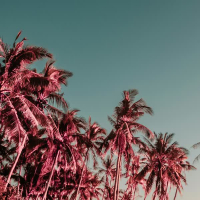 shameless - sped up + reverb (Single)