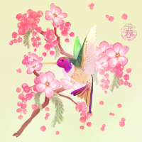 Hummingbird (Single)