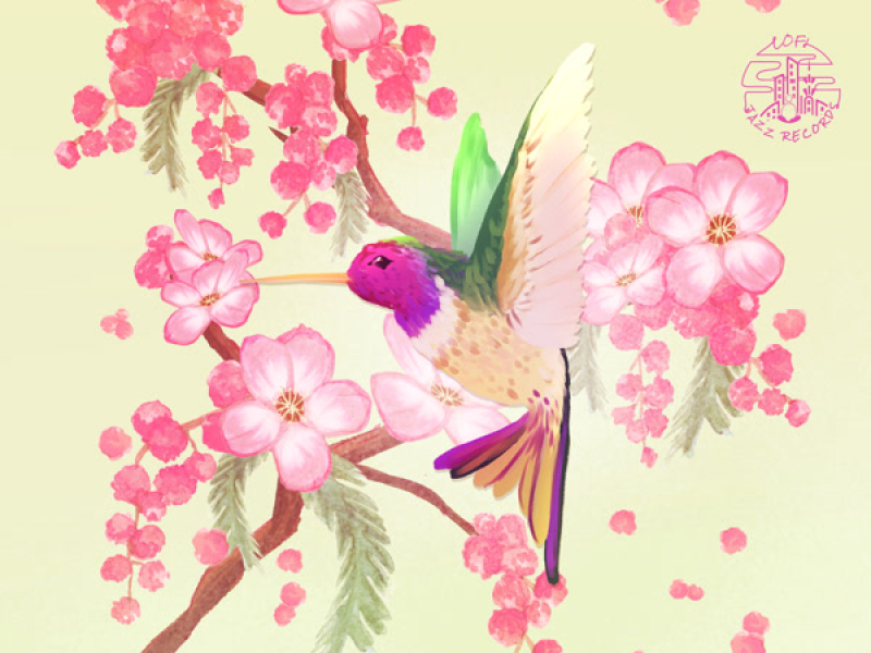 Hummingbird (Single)