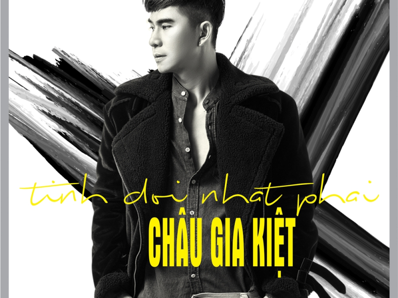 Tình Đời Nhạt Phai (Single)