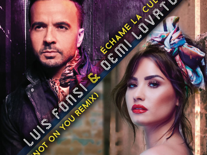 Échame La Culpa (Not On You Remix) (Single)