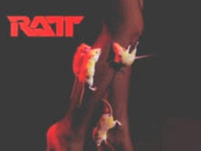 Ratt (Mix)
