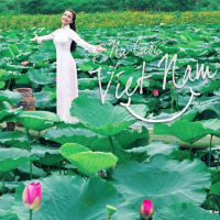 Nụ Cười Việt Nam (Single)