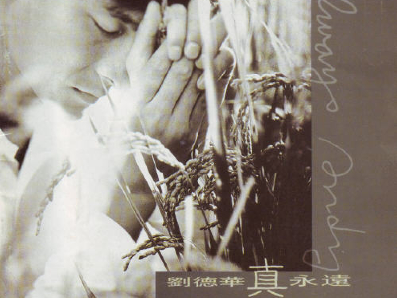 真永远 / Mãi Mãi