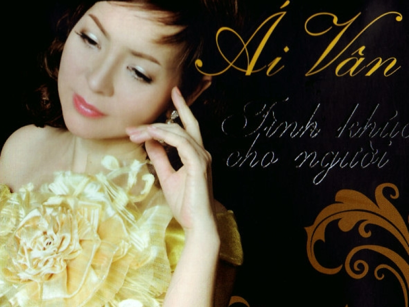 Tình Khúc Cho Người