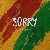 Sorry (Single)