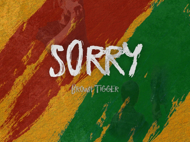 Sorry (Single)
