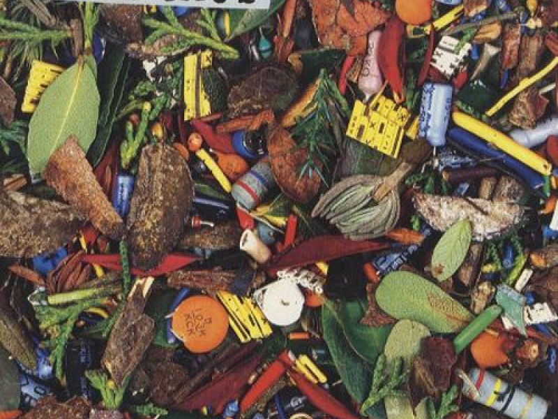 The Crystal Lake (Single)