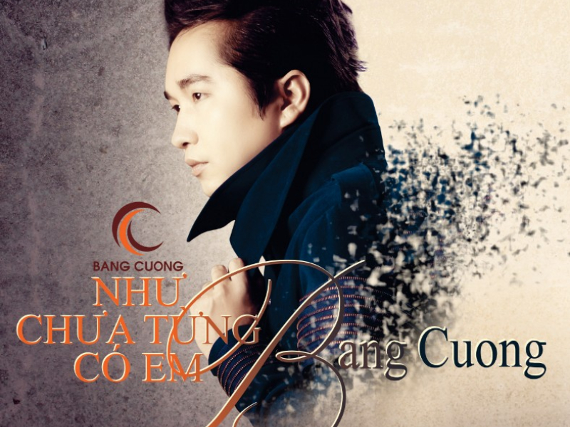 Như Chưa Từng Có Em