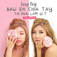 Sau Khi Chia Tay Thì Phải Làm Gì (Remix Single)