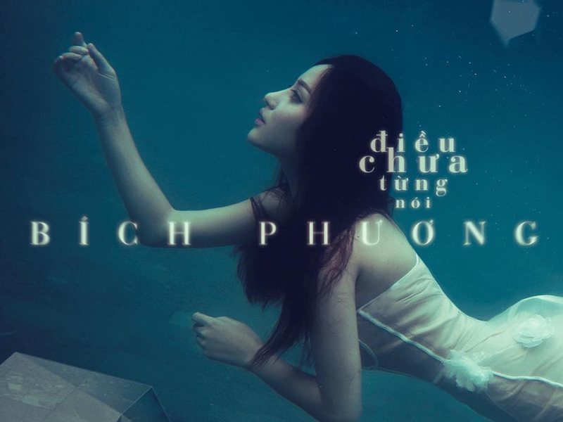 Điều Chưa Từng Nói