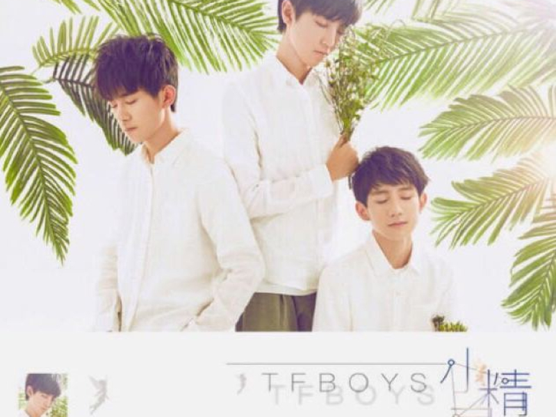 小精灵 / Tiểu Tinh Linh