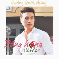 Bông Hồng Cài Áo