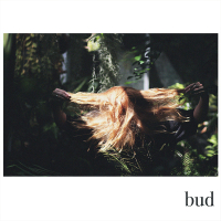 Bud (Single)