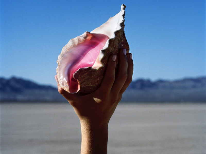 Some Kind Of Love (Single)