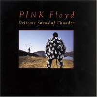 Delicate Sound Of Thunder (disc 1)