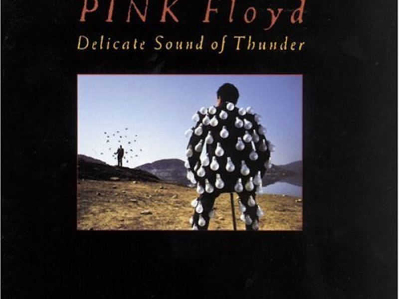 Delicate Sound Of Thunder (disc 1)