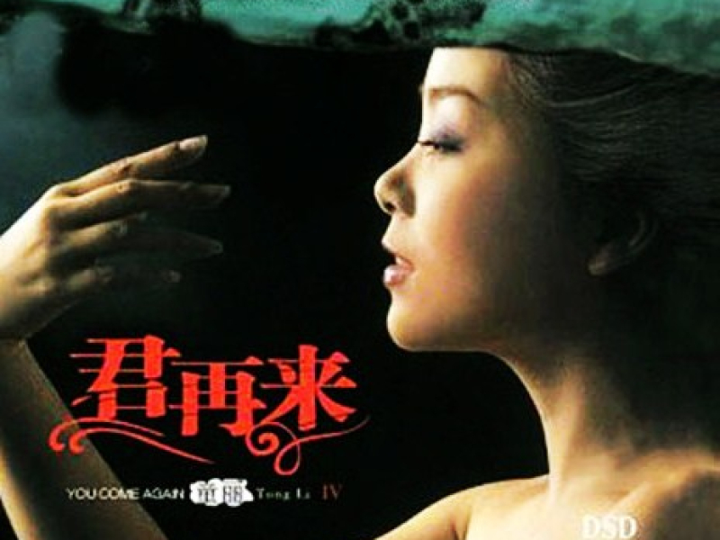 君再来Ⅳ/ Quân Tái Lai IV (CD1)