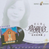 悲哀的梦/ Giấc Mộng Bi Ai (CD2)