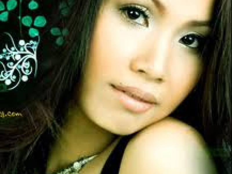 Tình Khúc Theo Chồng