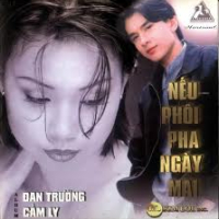 Nếu Phôi Pha Ngày Mai