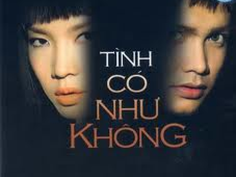 Tình Có Như Không