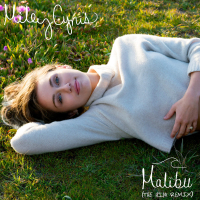 Malibu (The Him Remix) (Single)