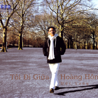 Tôi Đi Giữa Hoàng Hôn