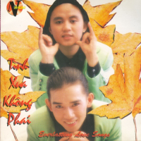 Tình Xưa Không Phai