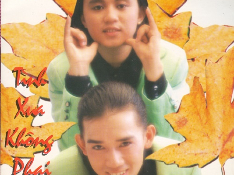 Tình Xưa Không Phai