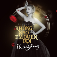 Không Sao Em Quen Rồi (Single)