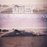 The Buried Sessions Of Skylar Grey - Single