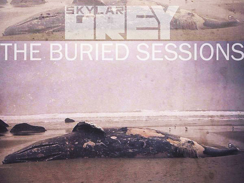 The Buried Sessions Of Skylar Grey - Single